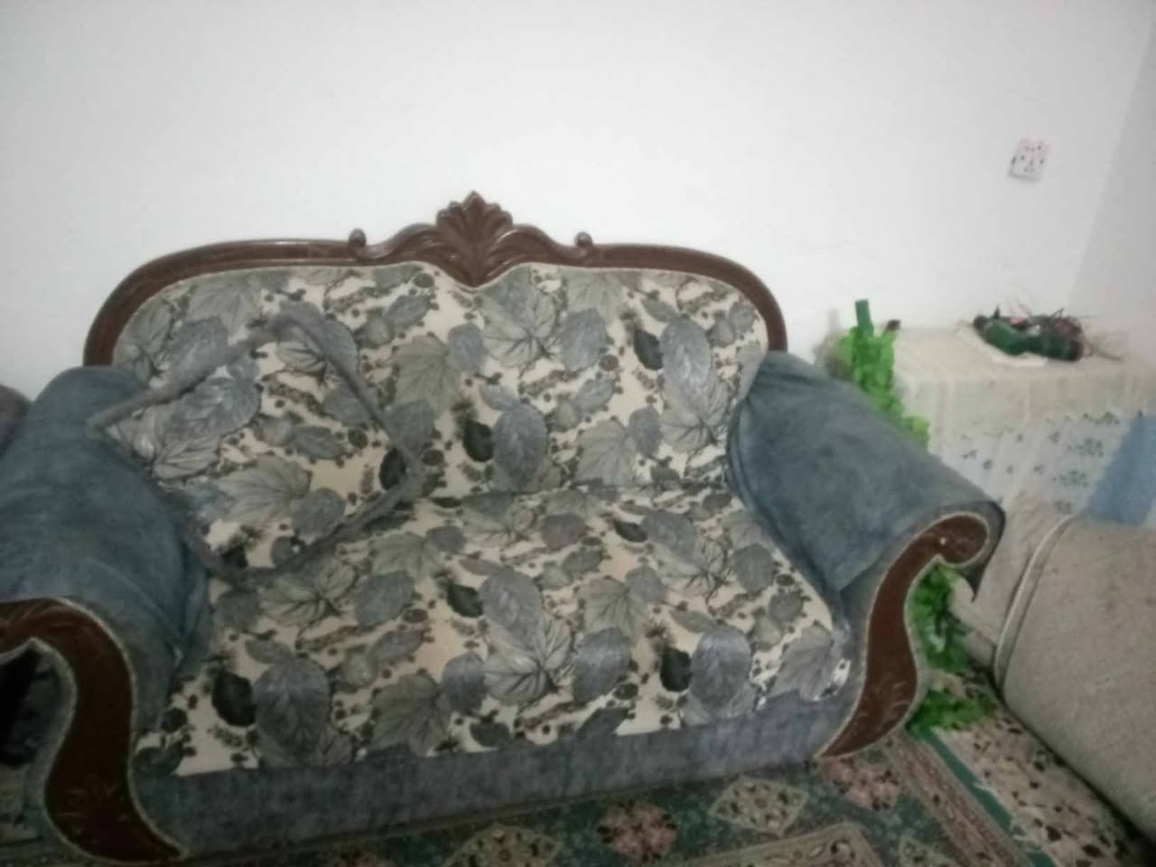 تخم 10مقاعد مابيي ضرر سعر٢١٥ بي مجال بسيط عنوان بغداد عند جزيره السياحيه


**إذا كنت صاحب هذا الإعلان وتريد حذفه لأي سبب، رجاءا أرسل رسالة إلى الدعم الفني**