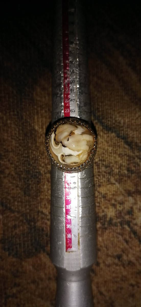 عطف داوودي نوادر قطعة قديمة كلش الصورة تسولف (مصور رباني) صياغة يدوي فضة 925 ثقيلة مشروط عام محبة جلب عقد لسان تسهيل امور جاه وجه مفول تفول


**إذا كنت صاحب هذا الإعلان وتريد حذفه لأي سبب، رجاءا أرسل رسالة إلى الدعم الفني**