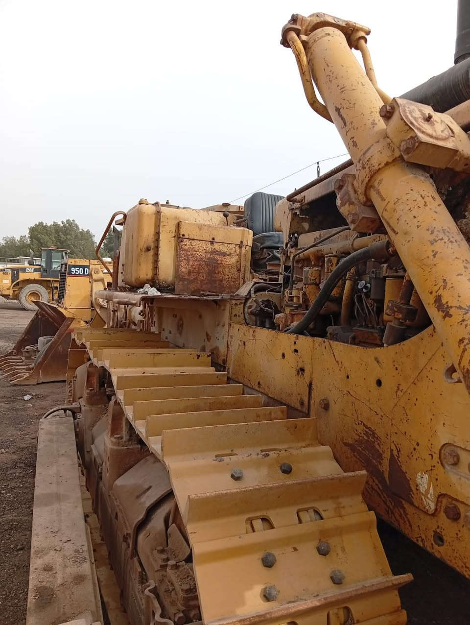 السلام عليكم بلدوزر للبيع موديل ٨١ حجم D8kرقم بغداد مكانهه بغداد سايز ٢٥ جاهزة للعمل مع قمارة حجرية او شمسية حسب الطلب  *********** عمار البديري
