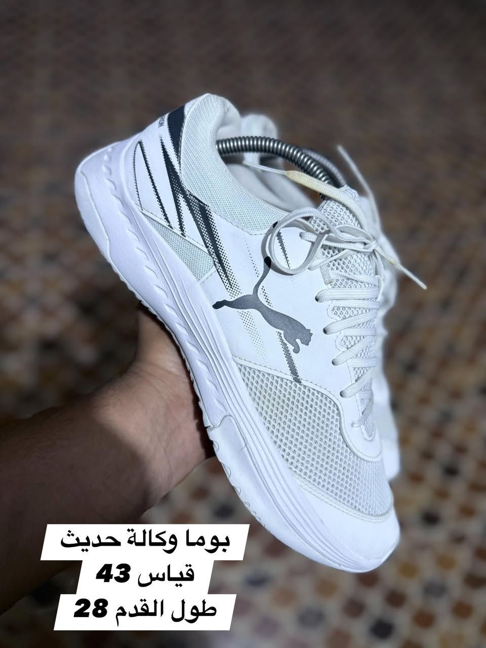 احذية بالة اصلية
قياسات داخل الصور
الاسعار كل قطعه سعر
يوجد توصيل


**إذا كنت صاحب هذا الإعلان وتريد حذفه لأي سبب، رجاءا أرسل رسالة إلى الدعم الفني**