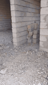 العلم منطقه دبي • بيت هيكل • ٥٠٠م