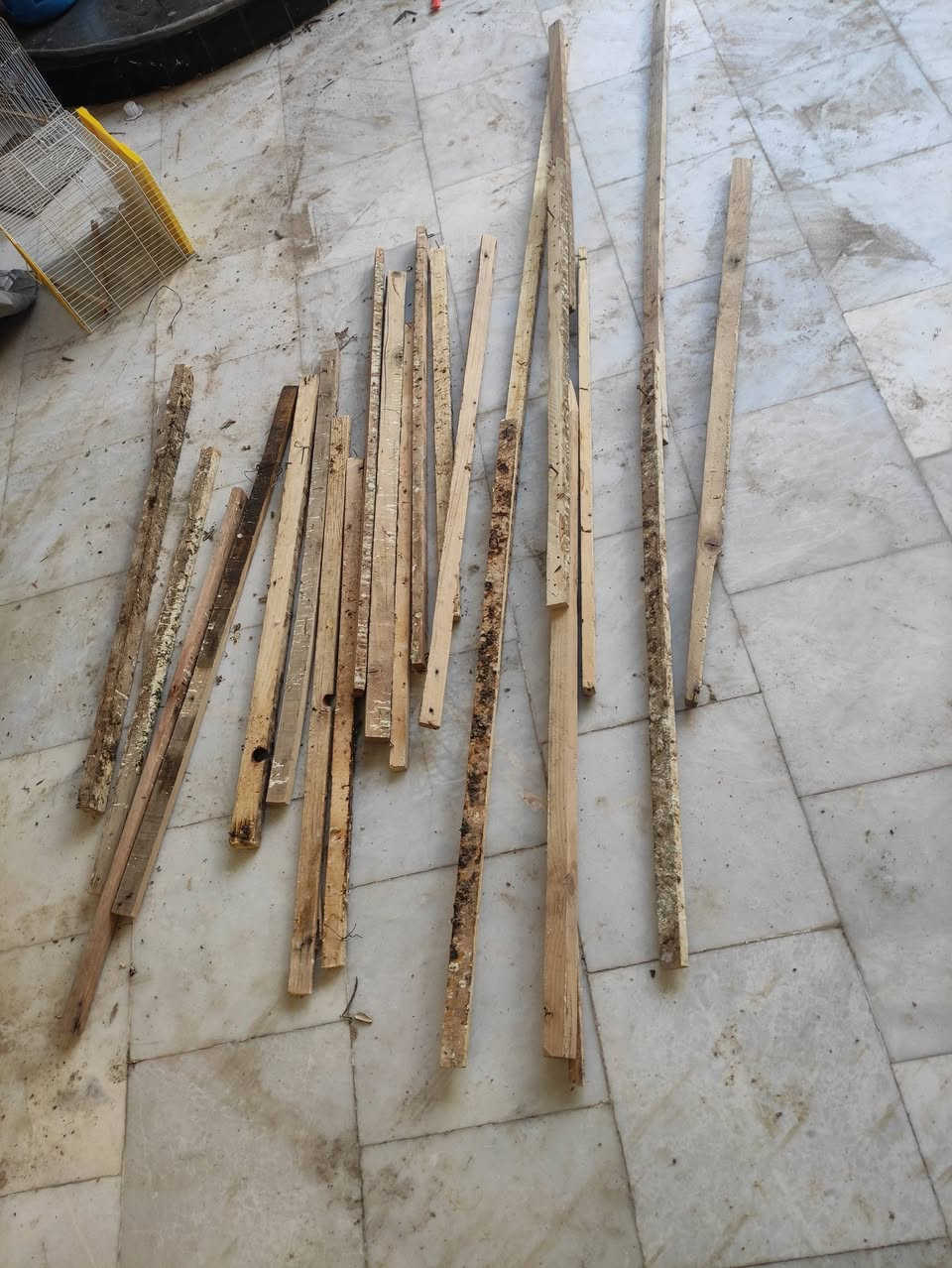 قفص خشب 
ارتفاع متر و٩٥ عرض متر و٧٠ نزال متر 
وياخشب خير من لله تكدر تسويهن مرادي يوكفهن عليهن الطيور 
قطاره مال مي
بيوت فناجز جدد 
مكاني حله


**إذا كنت صاحب هذا الإعلان وتريد حذفه لأي سبب، رجاءا أرسل رسالة إلى الدعم الفني**