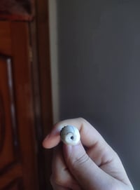 حجرة عطف • قديمة • كربلاء