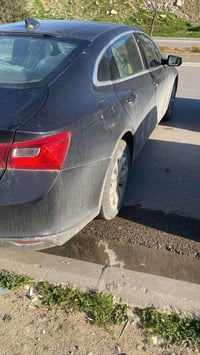 ٢٠٢٣ • حادث امامي • قطعتين صبغ