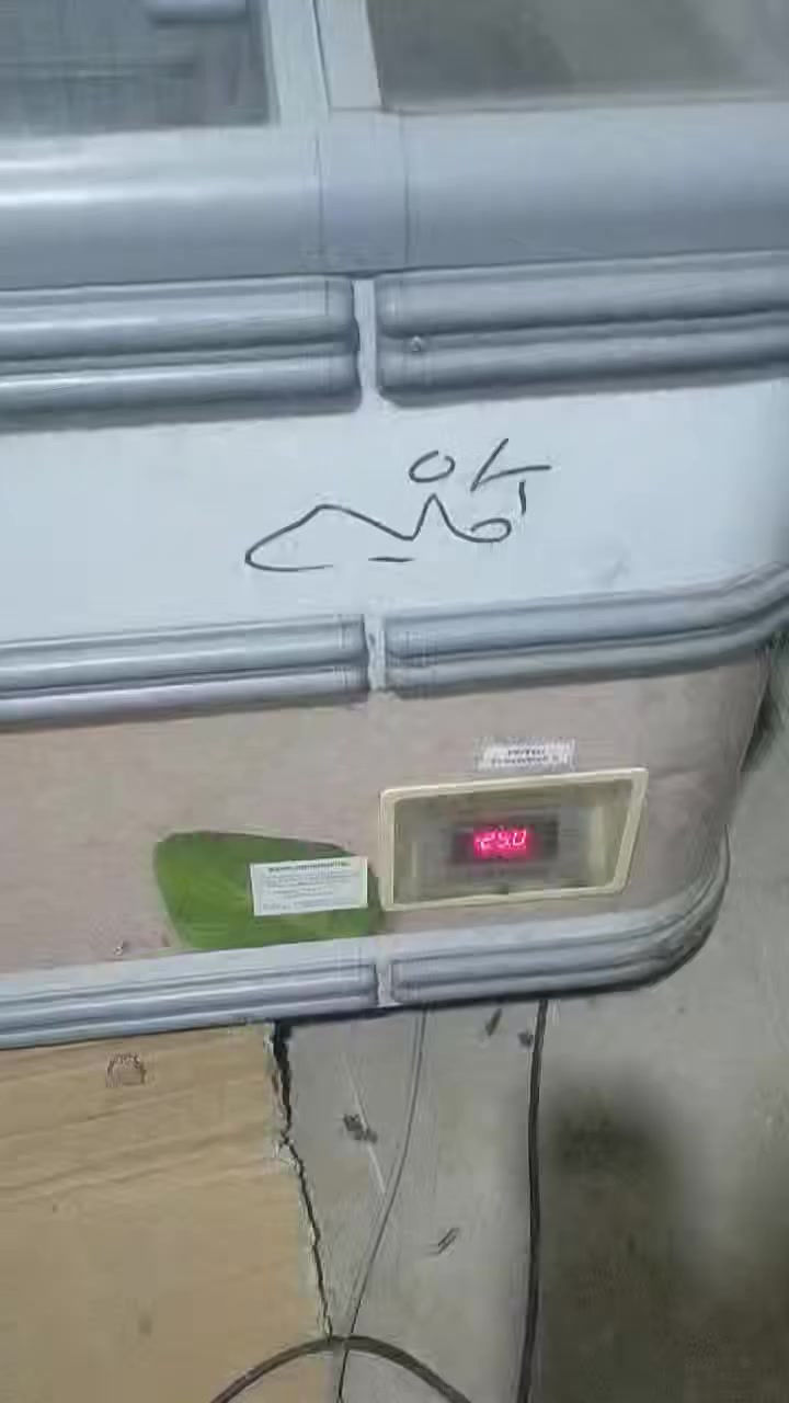 فريزر اتش دي الماني 
01007789199


**إذا كنت صاحب هذا الإعلان وتريد حذفه لأي سبب، رجاءا أرسل رسالة إلى الدعم الفني**