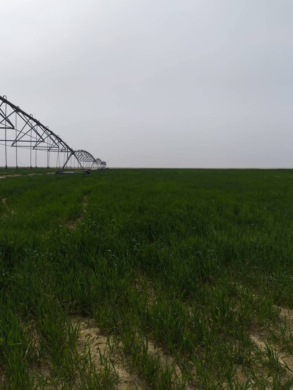 ارض 200 دونم للستثمار حسب الاتفاق الركايه يم العلويه
***********
