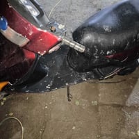 دراجة فراشة • عاطلة • البصرة معقل