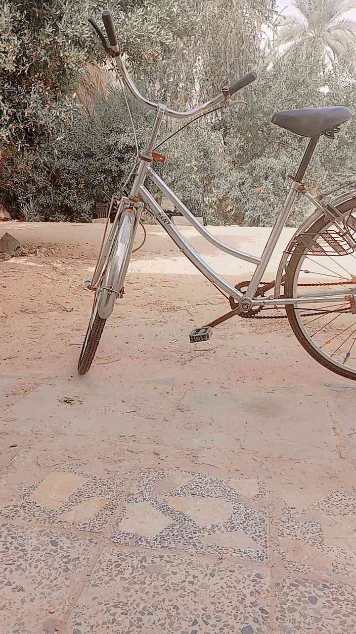 سلام عليكم عندي بايسكلات للبيع النضافه فول
سعر الزيتوني 65 وبي مجال 
سعر البيض 55وبي مجال 

المكان كربلاء البرهميه 
الرقم مغلق *********** بي وتساب
مامتواجد علا الفيس
