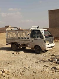 عموشه ٢٠١٠ • أوراق كاملة • سعدة