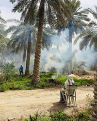 اليوسفية القصر الأوسط • دوانم طابو زراعي • سند 25