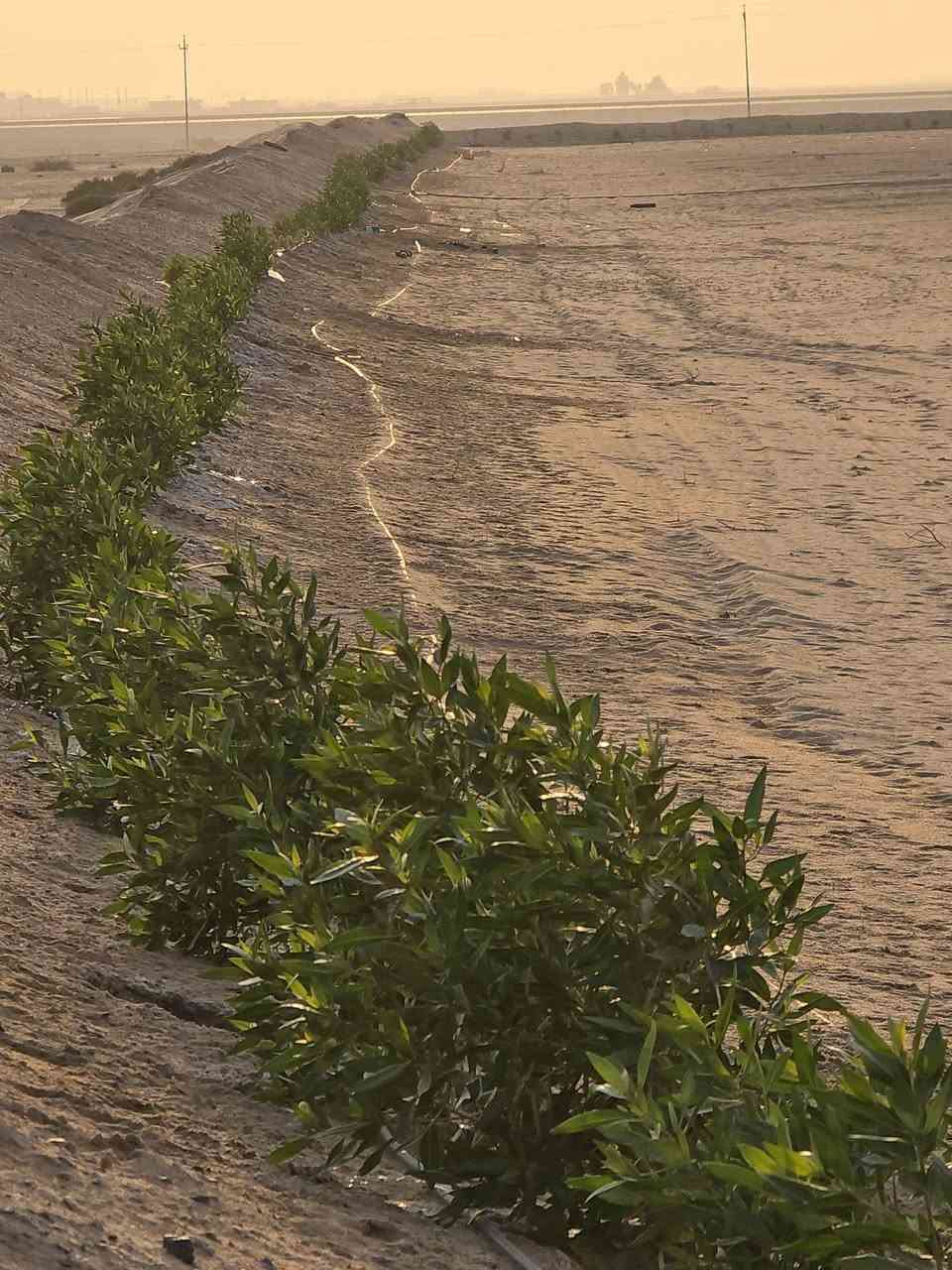 السلام عليكم
للبيع ١٤ دونم واجهة على الشارع الوجه ١٠٠متر والنزال ٣٥٠ متر
مع بير ارتواز وغطاس وكهرباء وطنيه السعر مناسب جدا ٤٥ مليون مجال قليل العنوان نهاية طريق النجمي تتجه يسار على تبليط الرفيع قرب مدرسه الحليوات قرب مزرعه بيت العاشور
الهاتف ***********
