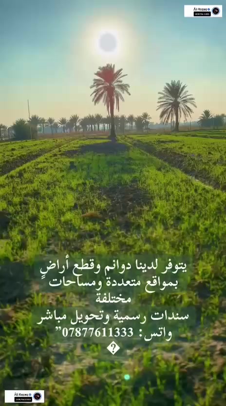 يتوفر قطع طابوا زراعي  للبيع خلف جامعة المستقبل  للإستفسار  الاتصال على الرقم  ***********
