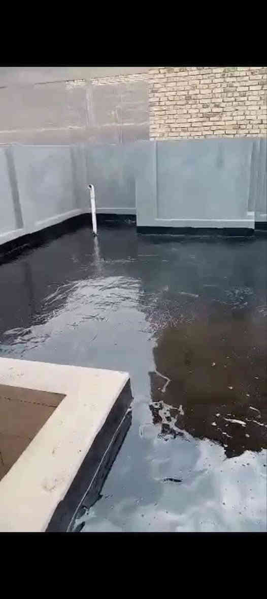 سكله المنكوشي البيع الكير ***********
