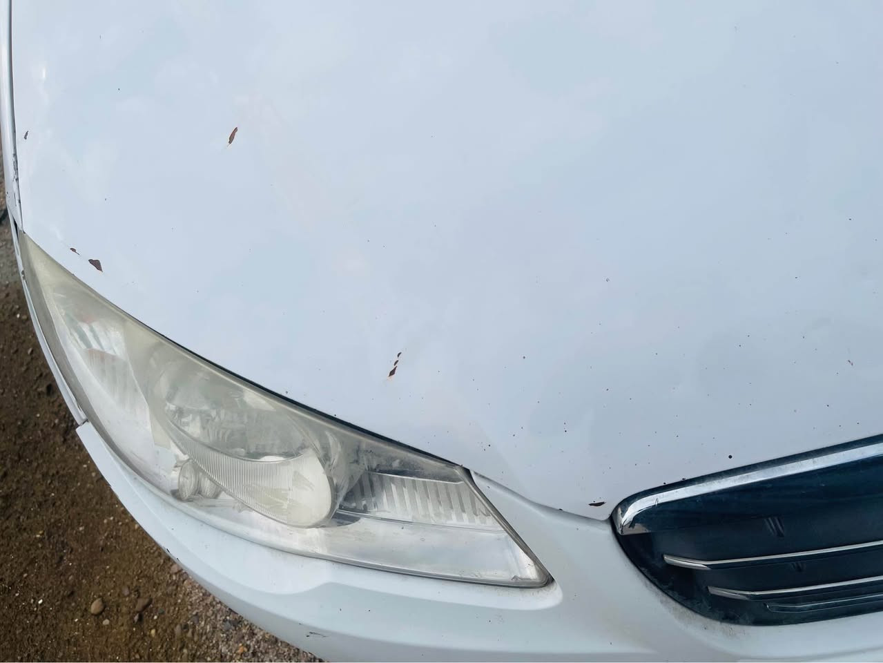 السلام عليكم للبيع النترا ٢٠١١ خليجي بيهه ضربه من وره ومصبوغه الجاملغ والجنطه ونص الجاملغ الثاني محرك كير صدر كله تمام رقم اربيل تحويل مباشر مكاني بغداد حي الحسين سعرها ٩٥ ورقه وبيهه مجال لشراي الاستفسار *********** بغداد, العراق
