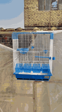 فقط يمي تلكون هيج عروض 😂كمل لفيديو وتعرف كلشي 🔥🔥 07748792209