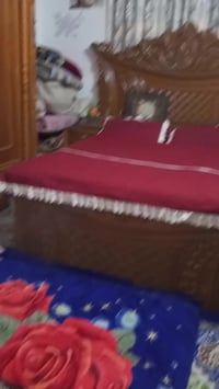 بيت زراعي • صوب • بنجراب