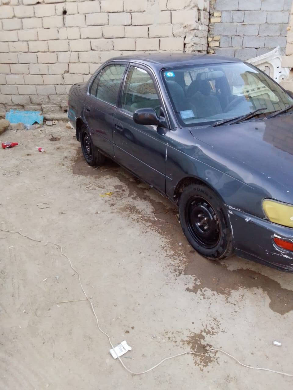 السلام عليكم كورله لبيع رقم بغداد انكليزي بسمي سنويه ل31 عنوان الناصريه سوق الشيوخ العكيكه السعر 50 وبيه مجال علما الكير كايم يطيح من سعره والشراي يتصل بيه خير ويدلل ***********
