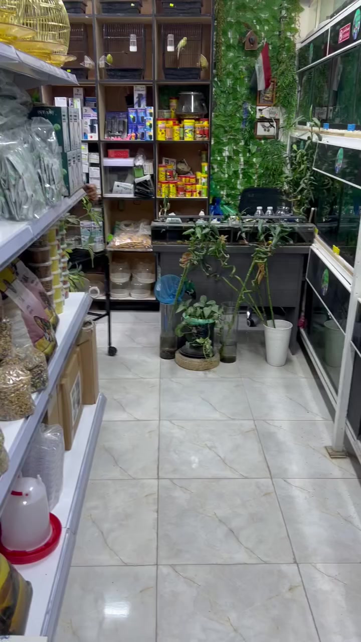 عرض خاص  قفص ديكور مع الستاند  ب28الف فقط 
التوصيل  بجميع المحافظات 5.  الاف دينار 
*********** 
عنوانه الناصريه قضاء الرفاعي حي العمال شارع الجنسيه
