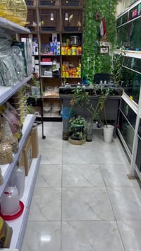 قفص ديكور وستاند • توصيل لجميع المحافظات • الناصرية قضاء الرفاعي