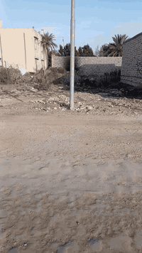 قطعه للبيع حجي حسن زراعي سند 25 (دكتور حميد) مساحه 200 للاستفسار ***********
