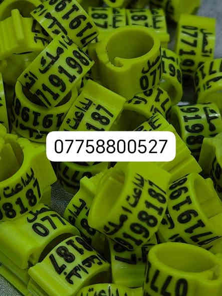 حجل طيرك وبسعار تنافسيه وشغل مضمون 👇❤️ حجول  وتوصيل لكل العراق والخبره بلعمل
من رخصت لمشرفين تريد حجل اصلي  ❤️ يوجد لدينا كل ماهو جديد عمل جميع  انواع حجول رابطه ستندر بنواعها حمام اللوت والزاجل والرافل والحمر وتور تيدي وطيور الزينه وباقي الطيور  بكافة انواعها  المغرد جاوه وبلابل  وفجانس وكناري وبادجي هاجرمو  وكوكتيل والدره وغندور وروز والحمام الملكي  ودجاج ومختلف النوعيات الالوان والموديلات حسب طلب الزبون الحجول والقياسيات موجوده بنواعها وتلبيس لطيور الكبار موجود حسب الطلب
الموثق والمفتوح وقراصات و المنيوم مفتوح الشغل درجة أولى حفر ليزر وحجول  والطيور بانواعها ملاحظه يوجد لدينا حجول زينه تراجي وحجل جرس خرخاشه واشرات وباقي الحجول بنواعها لكافه لطيور توجد خدمه توصيل لباب لبيت لجميع المحافظات العراق 🚕🚕 بسعر مناسب جدا للحجز مراسلة الصفحه او واتساب📱📞او الاتصال علئ الرقم او وتساب ملاحظه خبره بلعمل أكثر من 10 سنوات احذر التقليد 😍 لاتنسه لايك ومتابعه للحساب هدفنا تطوير الهوايه ولطيور لتعارف 😘 

***********
***********
