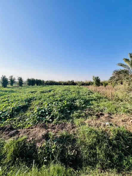 سلام عليكم 
على بركت الله ✨
ارض للبيع 
موقع ( العزيزية برينج )
مساحة (2 دونم ) وجه الارض ( 70م)
تحتوي على دار ( شكل الارض مربع )
الاستفسار مراجعة مكتب عمار احمد سلمان الشمري
التصال……
***********
***********
