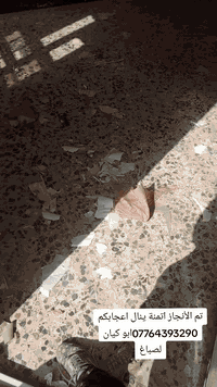 ‏‪***********‬‏ ابو كيان 
كادر اصباغ
� صباغة المنازل | لمسة فنية لجدران بيتك
نحو بيت أجمل وأنيق ✨
🔹 صبغ داخلي وخارجي
🔹الخفاء و صبغ     سيراميك بدون تفليش
🔹 صبغ جدران
🔹 تصليح وتعديل الصبغ القديم
🔹استخدام أفضل المواد وبأحدث الطرق
🔹 دقة بالمواعيد – نظافة بالعمل  أسعار مناسبة 
📍 نجيك وين ما تكون داخل 
📞 للحجز أو الاستفسار 
واتساب  ***********‬‏
جرب شغلنا، وشوف الفرق بعينك ✅
#صباغة_المنازل #صبغ #ترتيب_بيتك #خدمة_منزلية
