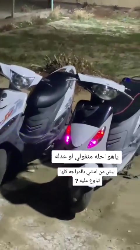 لمنغولي سوده للبيع سعر 650 ورقم ***********
