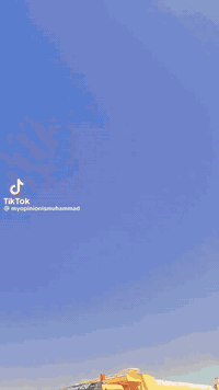 سلام عليكم البي للبيع موديل 82اصل قلاب مجموعة نص جيف رباط عدل بوربرن جبير مكينة 28محسن جديدة كير فافون تخم تاير بدي جديد تفصال عمارة يم ضياء الحداد شاصي مكفول حتة من الصبغ تبريد ثلج دوشمة جديدة جهازة السيارة ***********عنوانهة عمارة سيارة رقمهة بغداد
