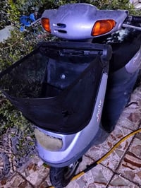 منغولي • شغاله • شاصي مكفول