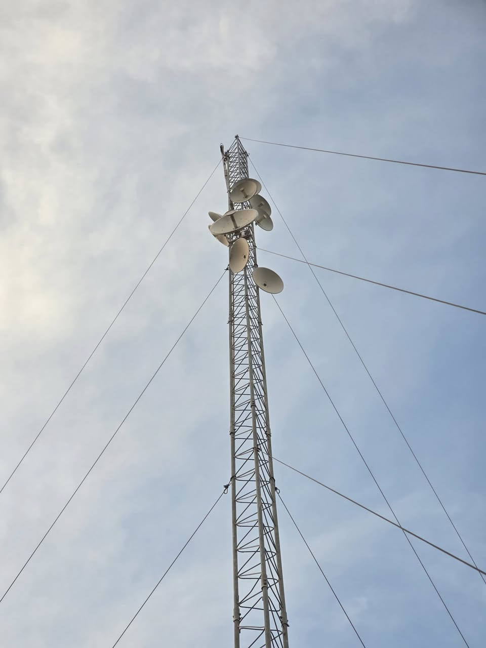 تم نصب ٢٤ م بابل اسكندريه.
***********
علاء
