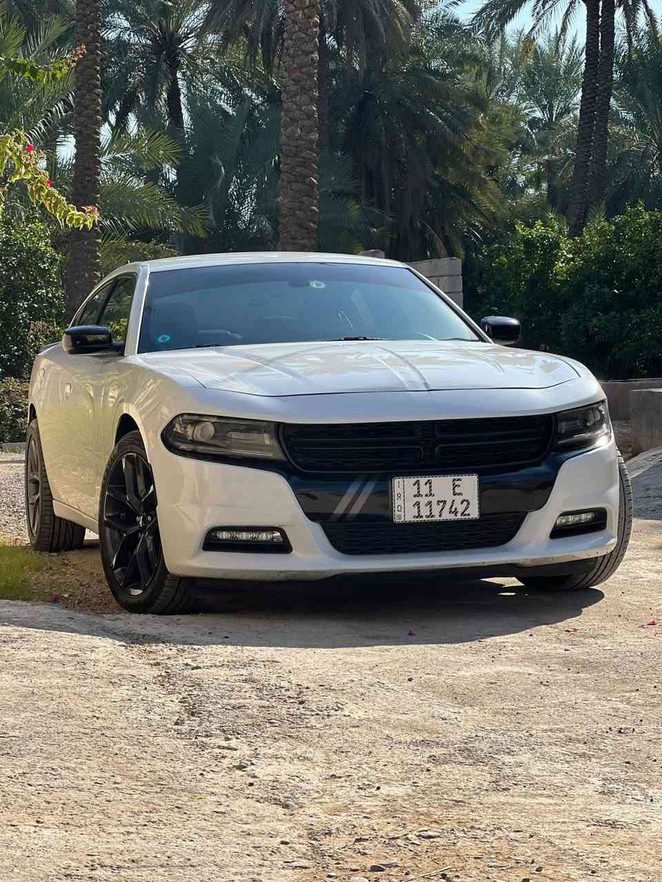 2019 DODGE CHARGER 3.6L AWD 
حادثها موضح بالفيديو دعاميه فقط  
السياره مكفوله من الدعاميه للدعاميه 
اني المستوردها ومرقمها  
ماشيه حاليا 57,000 MI  
مواصفات السياره Sxt plus black top 
اوبشناتsuper track pack 
لانج كنترول  Sport

كيجات performance pages بلادي 
تحكم مقود ثلاث وضعيات  
شفتات بالستيرن 
شاشة حجم كبير 
دسكات خلفي امامي وكاله هارلهم  
ماء راديتر بيرستون وكاله ٥ سنوات  
دهن بريك AMSoil  مبدل مرتين
حساس خلفي
كشنات جلد دوشمه جي تي  
ويل بلادي 20 GT
السياره عليها ادامه كامله زيوت Lucas oil مع معالج مع فلاتر مع محسنات ومضافات شهريه  
شكد ما اكلك السياره جديده بعدها بالجيس ما طالعة ابد وما اعتقد اكو اختها بالعراق بهيج موديل وهيج مشي حقيقي للعداد  وما مفتوح بيها برغي واحد كلها بلادي  
 
***********
