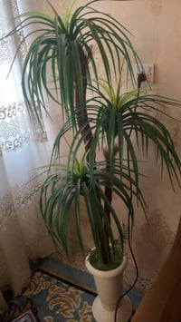 للبيع • ديكور • حديقة