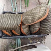 فتون • تچاوي ٤/٧ • نجف