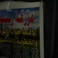 ايجار يومي • خطوبة • قرب مطعم ميديا