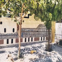 ترميم جدران • ضمان ٥٠مم • خبرة ١٠ سنين