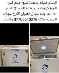 مجمد • كينوت • جديدة