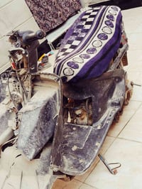 فراشه • شغالة