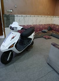 فراشه ياباني • جديده • ابي الخصيب