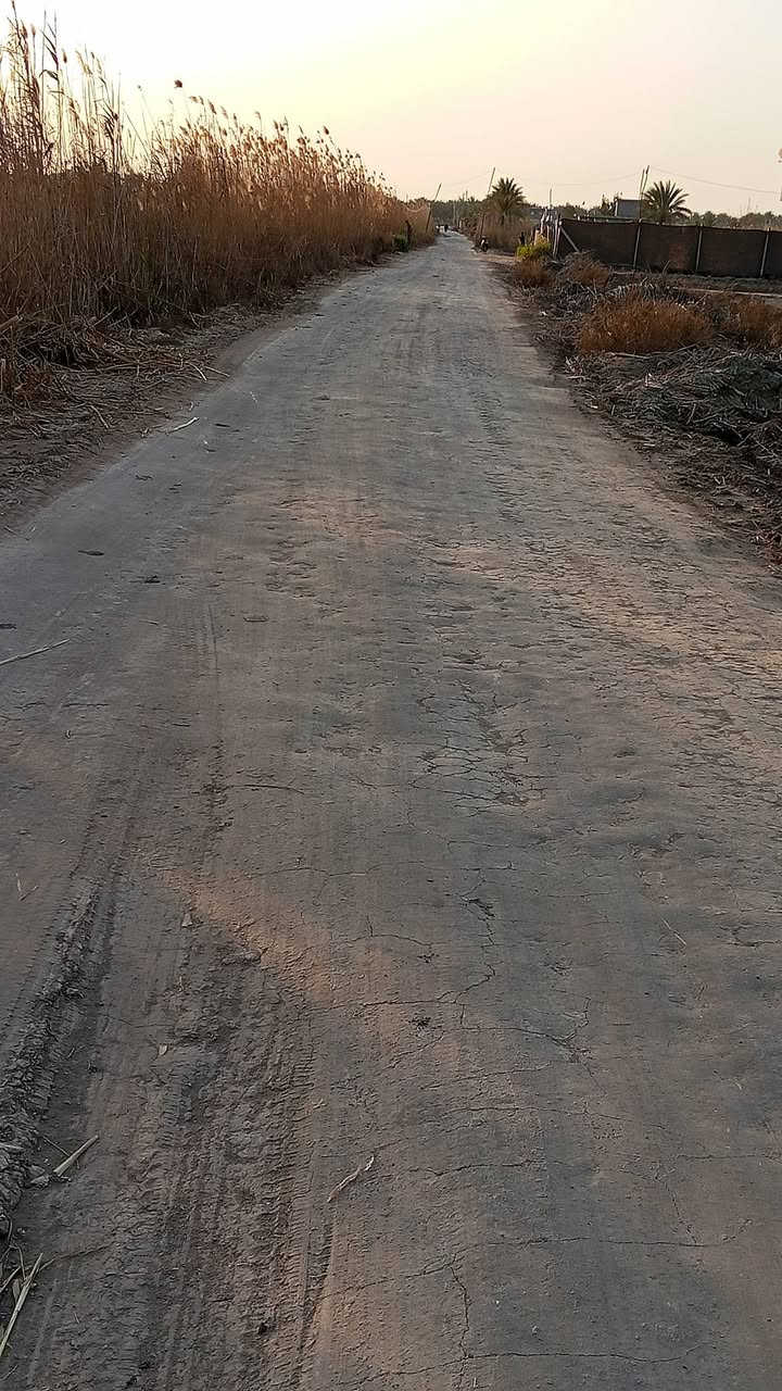 يالله السلام عليكم دونم له ربع البيع عقد 17 المكان كربلاء الحسنيه تبعد  عن الشارع العام 500 متر   كهرباء مي كله قريب عليهه مدرسه متوسطه وبتدائيه   السعر 38 وبيهه مجال  ***********  بي وتساب واني بل خدمه
