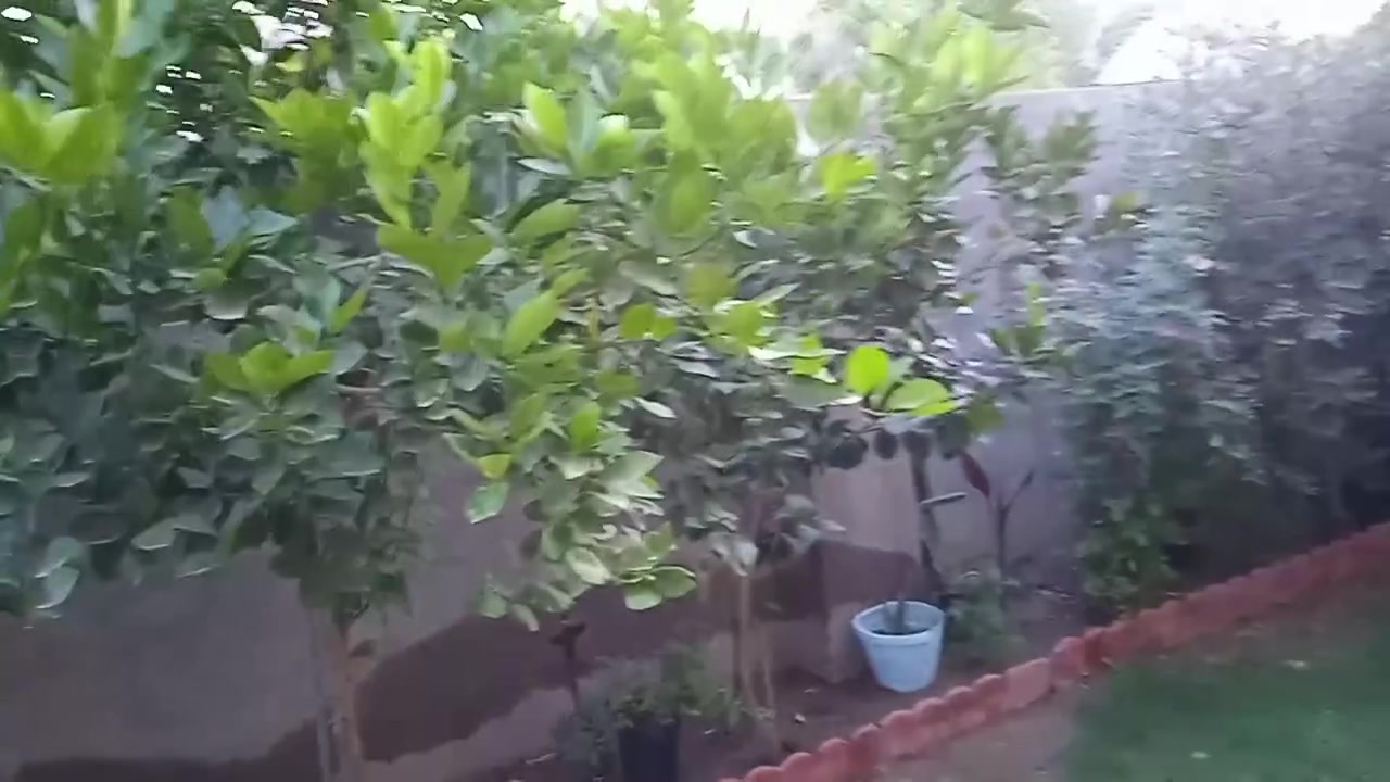 السلام عليكم بيت للبيع الخالص شويخيرات
مساحه 320متر ركن بناء حديث سنة23 يتكون من حوش كبير وحديقه عدد ثنين وحده بوجه البيت والثانيه بصفحت البيت 
مطبخ حار وبارد 6في4وصاله كبيرة وستقبال سته في اربعه.
وغرفتين نوم خمسه في اربعه وصحيات داخليه ومقعد غربي وصحيات خارجيه وبيتونه وغرفت نوم من ضمن البيتونه مساحت الغرفه اربعه في اربعه رقم صاحب الدار 
***********

