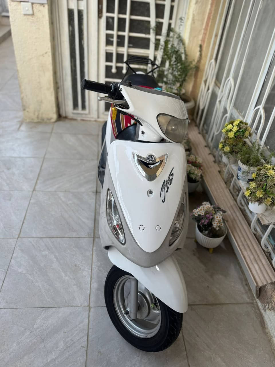 ماكس منغولي بلاد بوشه49 دراجة خير من الله معدل وشلعه مكفولة من النقص فقط السلف مبدل ما مفتوحة دراجه تجي وتشوف السعرر 650 مكاني كربلاء


**إذا كنت صاحب هذا الإعلان وتريد حذفه لأي سبب، رجاءا أرسل رسالة إلى الدعم الفني**