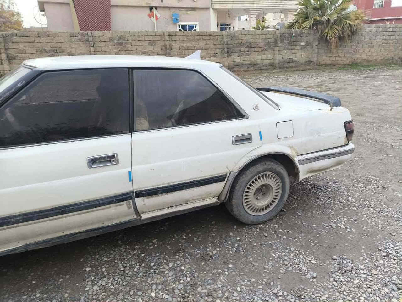 هورتوب
للبيع ومراوس
صلاح الدين 
 سنوسه عضم لل ٢٠٢٧
شرط التحويل
السعر تعال وتبشر
قصاط اعذرني 
***********
