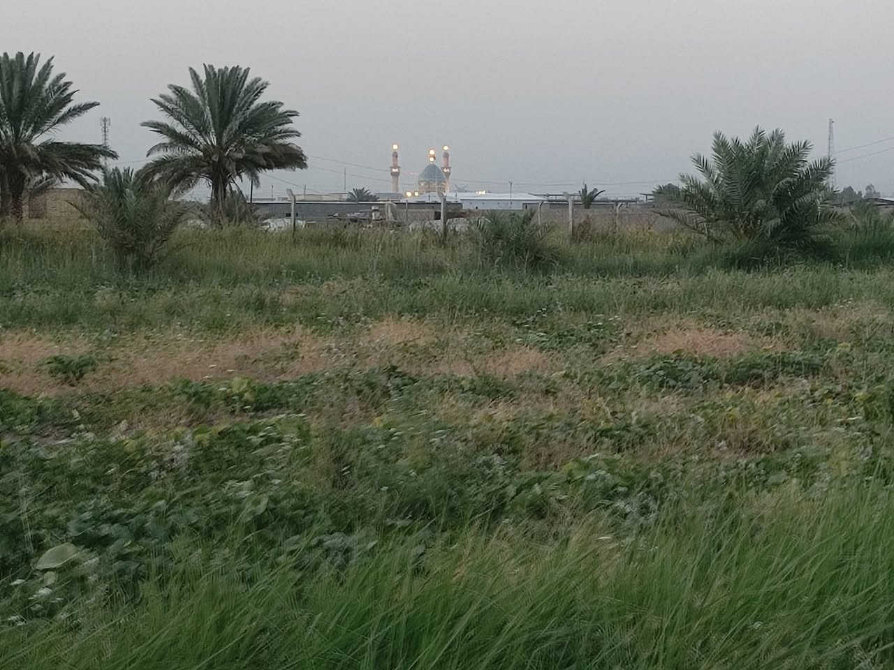 يالله توكلنا على الله
دونم للبيع طابو زراعي سند ٢٥ 
للاستفسار 
الاتصال على الأرقام التاليه 
***********  آسيا 

***********  أثير 

((  ***********)) هذا👉 فقط وات ساب وبخدمتكم
