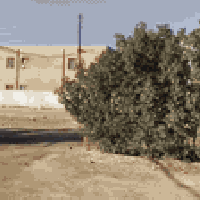 حي الشهداء • بيت ١٣٥م • مقابل مدرسة العراق الجديد