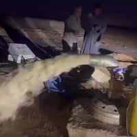 07838894711 حفر الآبار الارتوازيه تصل الئ 100 وتجفيف المنهولات تعبيرات...