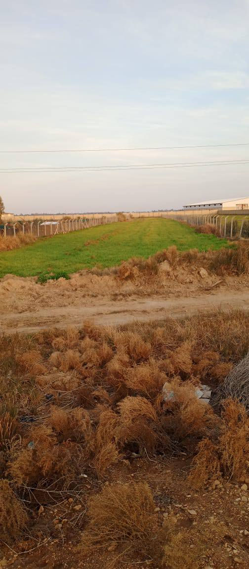 سلام عليكم ورحمه الله وبركاته
دونيمن للبيع. طريق حمزه ديوانيه شارع عام طريق الزوار سايدين

🩸خدمات الأرض 

🌟..كهرباء 
🌟..مايي سقي  
🌟..مسيجه الأرض 
🌟..موكب بين شارع والقطار  
🌟..الارض صالحه للزراعه 
🌟.. موقعه ممميز بصف معمل 
🌟..الأرض طابو سند 25مداور باسم مشتري 

الاستفسار تصال على الرقم لو مراسله واتساب 
***********
