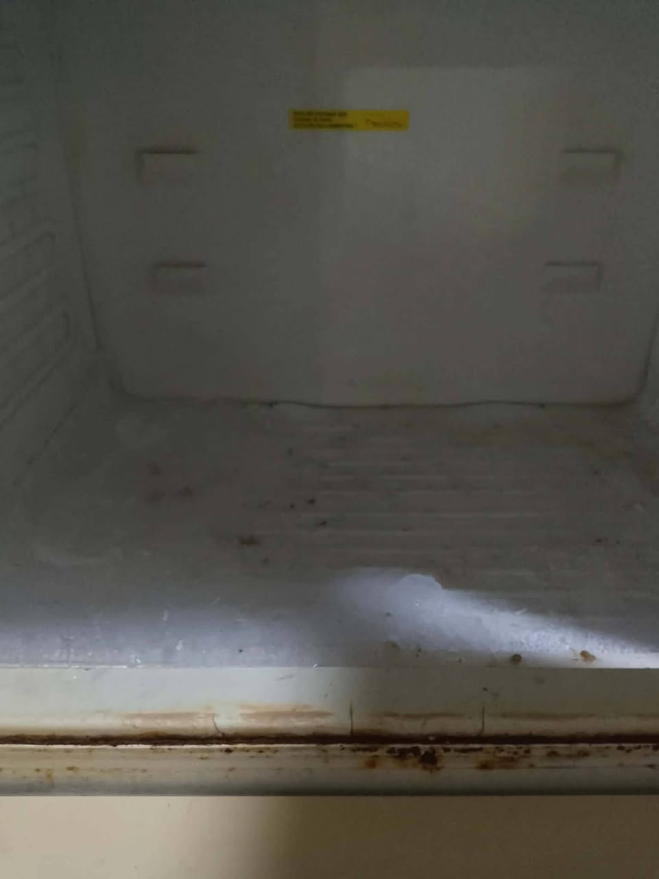 للبيع أدفع سعر الثلاجه شرط التجميد وثلاجت الماي بارد ثلج بالصيف


**إذا كنت صاحب هذا الإعلان وتريد حذفه لأي سبب، رجاءا أرسل رسالة إلى الدعم الفني**