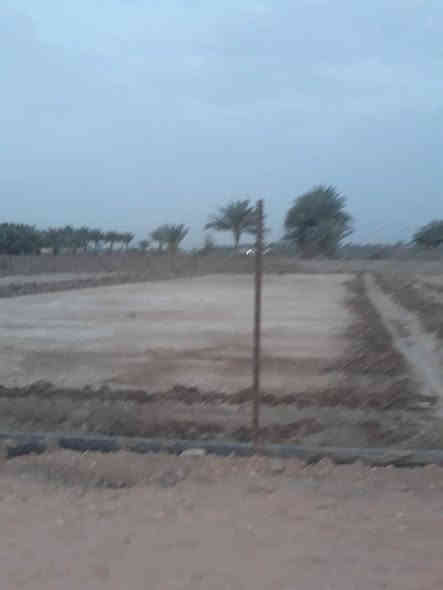 افراز جديد قطع اراضي المساحة من ٦٠٠م وفوك 
كامل الخدمات ماء كهرباء تبليط انارة شارع
الموقع 🌏 / وردية البوعليان قريبة على جدول بابل 

للأستفسار مراسلة الصفحة او الاتصال على الارقام التالية 
***********
***********
