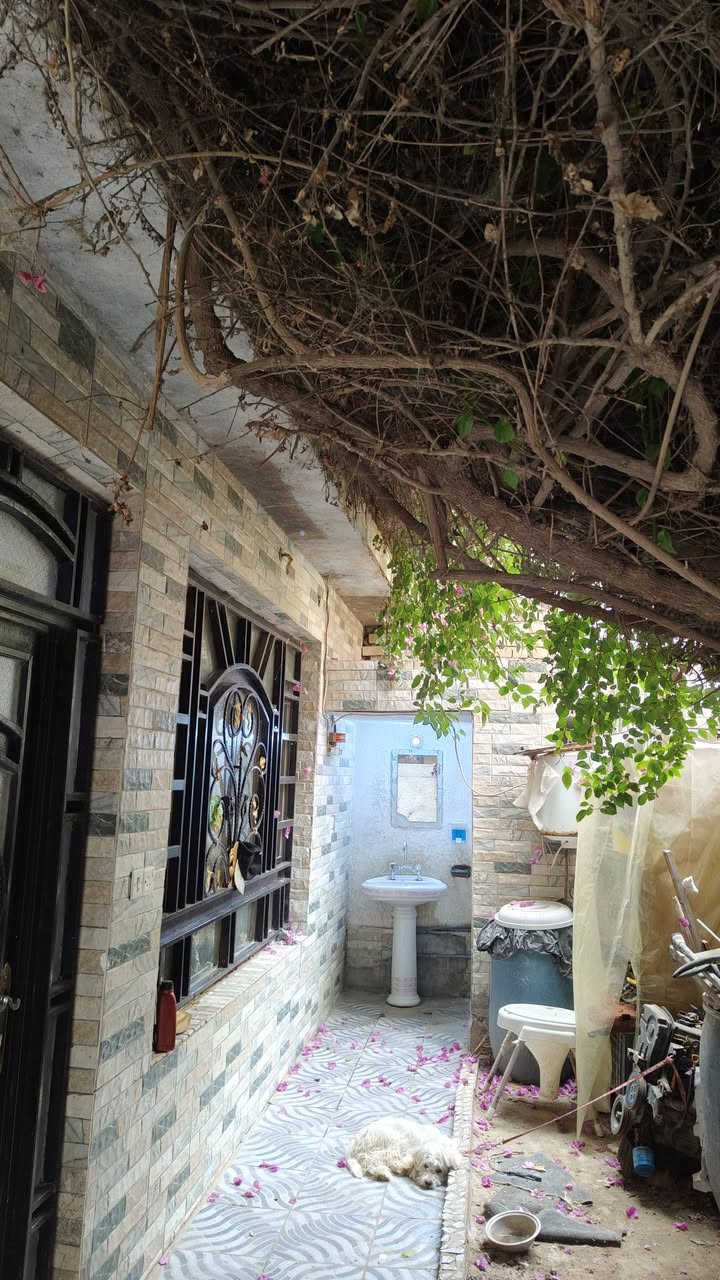 سلام عليكم .... بيت للبيع طابو صرف مساحته 150 طابقين متر بالسدة بالولاية قريب السوك ع شارع العام 
محتويات الطابق الاول صالة واستقبال وغرفه نوم ومطبخ حار و بارد وترك خلفي
الطابق الثاني غرفتين نوم مع مجموعة صحية
بناء حديث 
للاستفسار والاتصال على الرقم
*********** ابو حمزة
